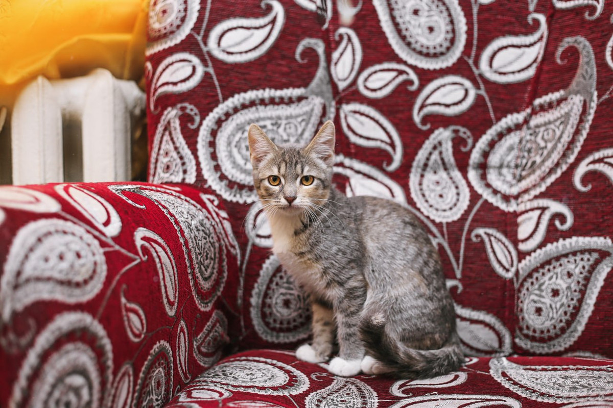 01B4EAB6-8669-4CA8-8BAB-0ED3DE3EFEA5