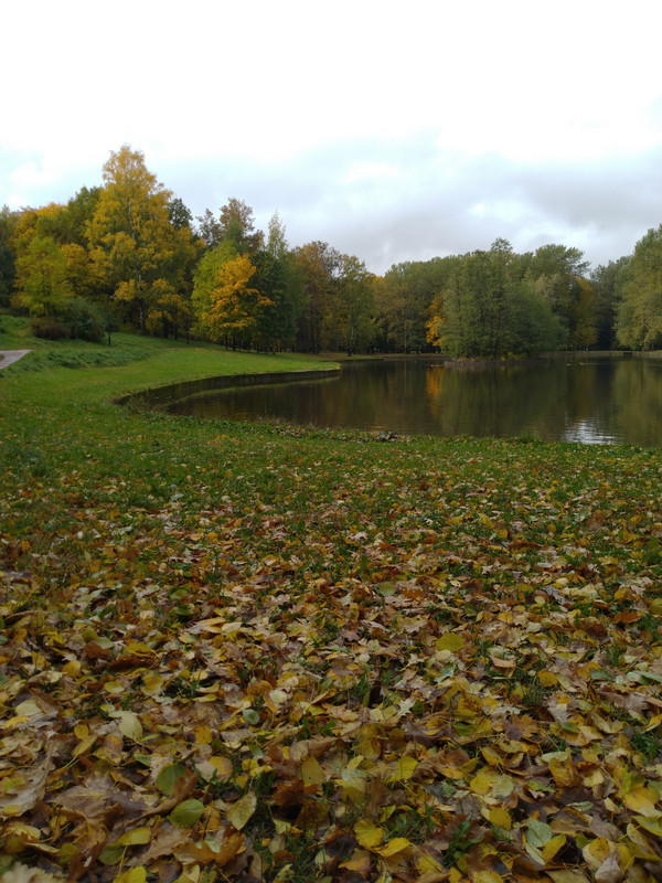 IMG-20221004-114034.jpg