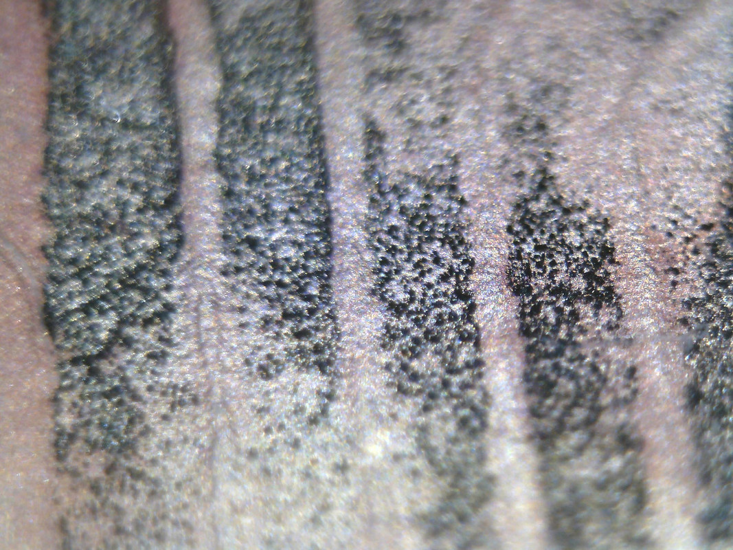 Изображение 002