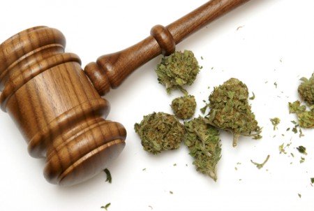 marijuana-gavel