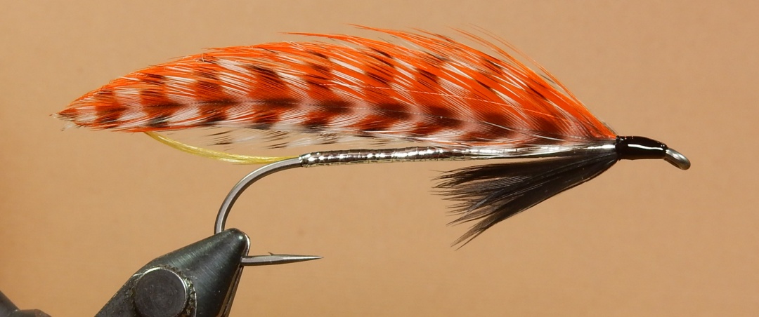 Conger-s-Lassie-1080.jpg