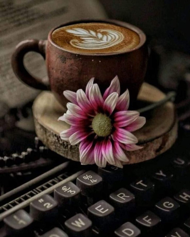 Screenshot_20240715_161022_Pinterest