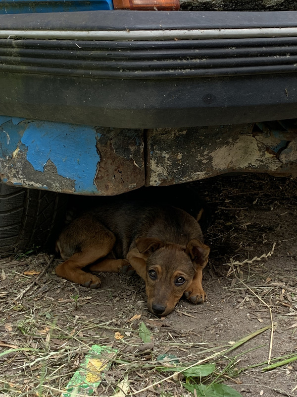 3ED192A1-ED28-4539-AC50-5689D8F67328