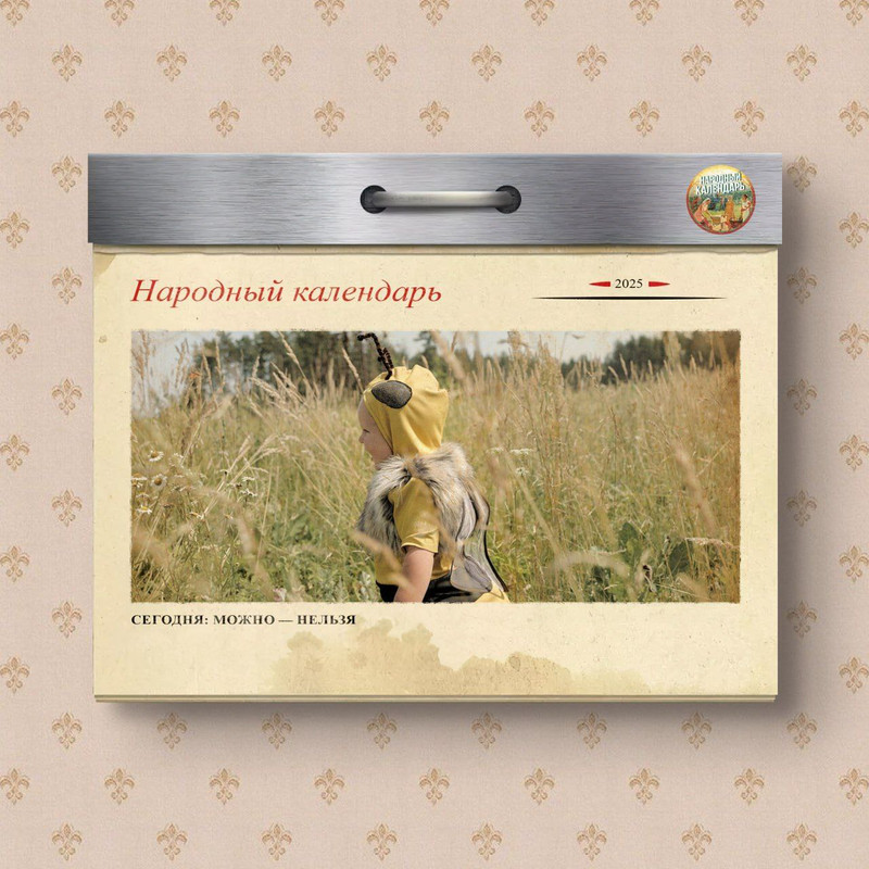 [Изображение: photo-2025-11-05-08-39-40.jpg]