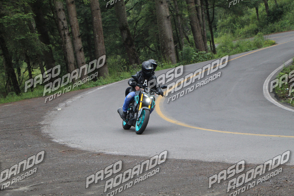 IMG 4541 wm 205305 1000000001 watermarked — Postimages