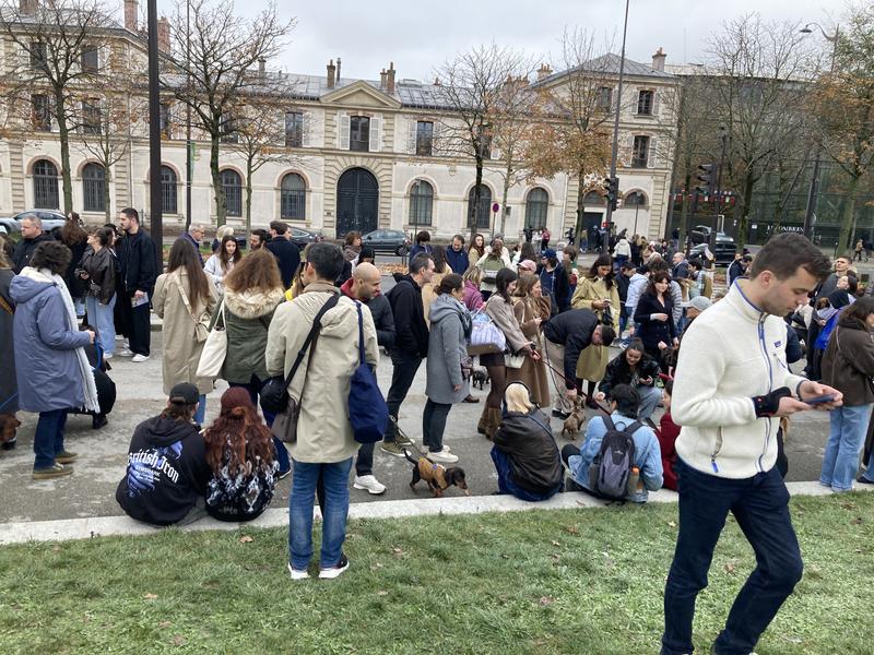 [Image: IMG-5748.jpg]