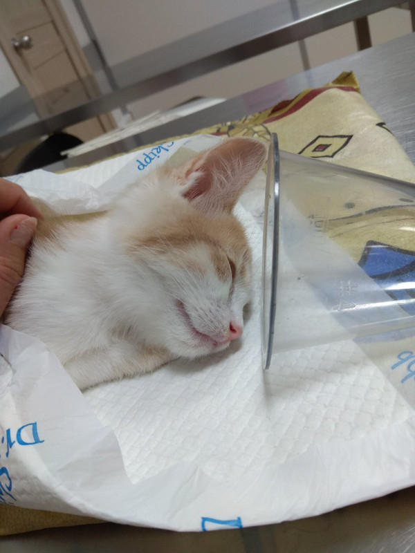 на кислороде 2