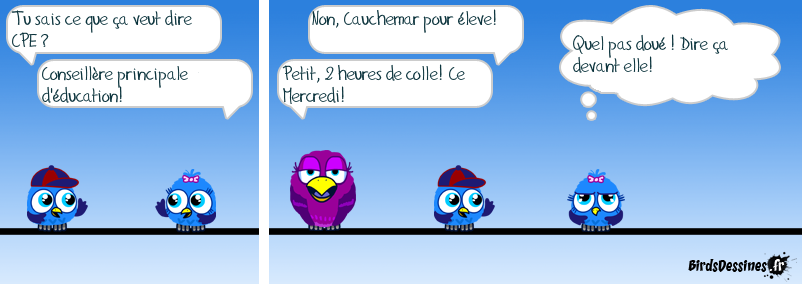 [JEUDI] - Les Birds - [ARCHIVES 01] - Page 9 2021-02-04-b-01