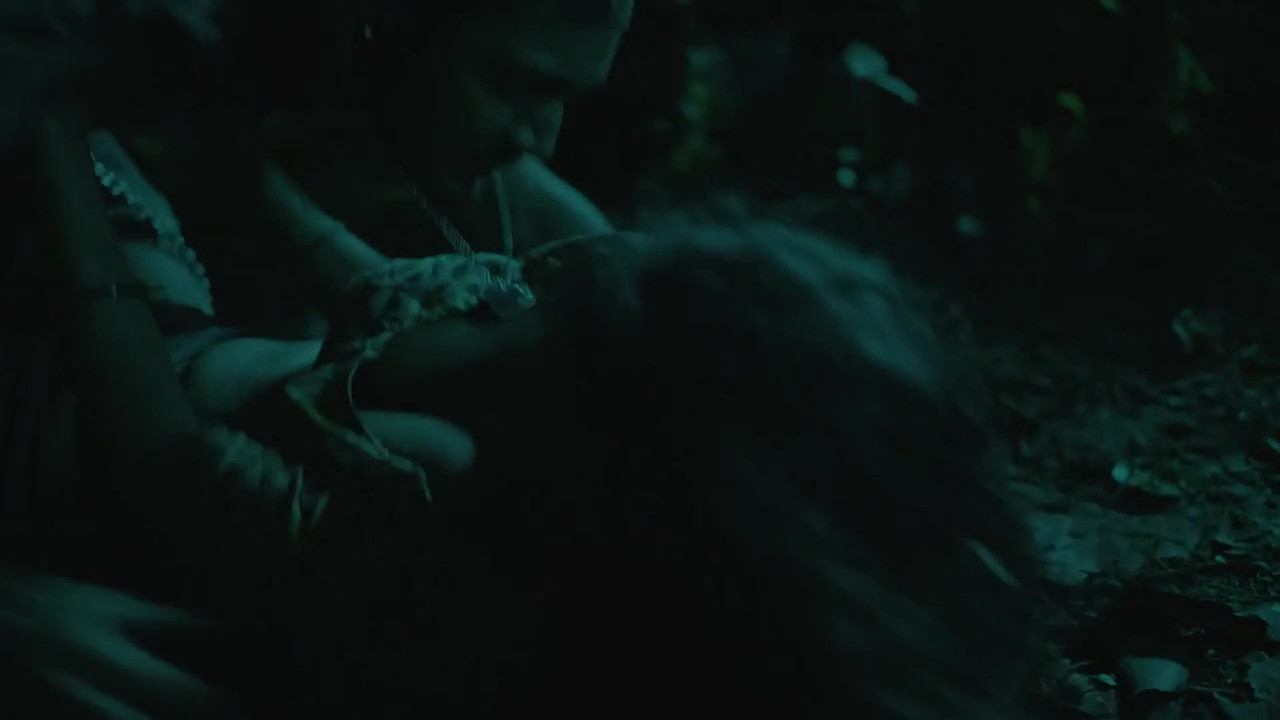 vlcsnap 2025 11 03 23h46m22s550