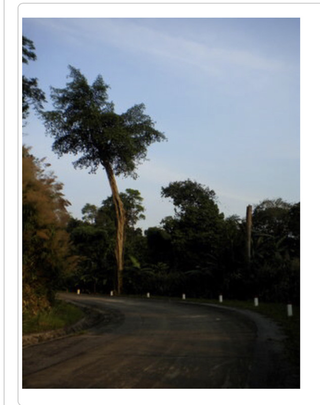 30CD8075-B8BA-451B-B0F3-BEB0DC8CA9AC