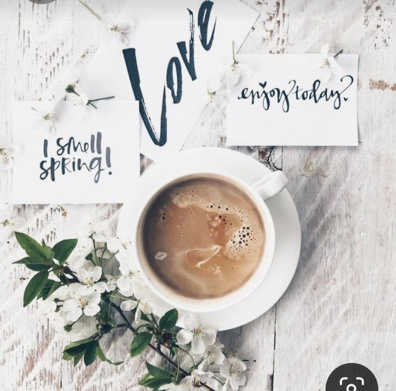 Screenshot_20230330_234655_Pinterest