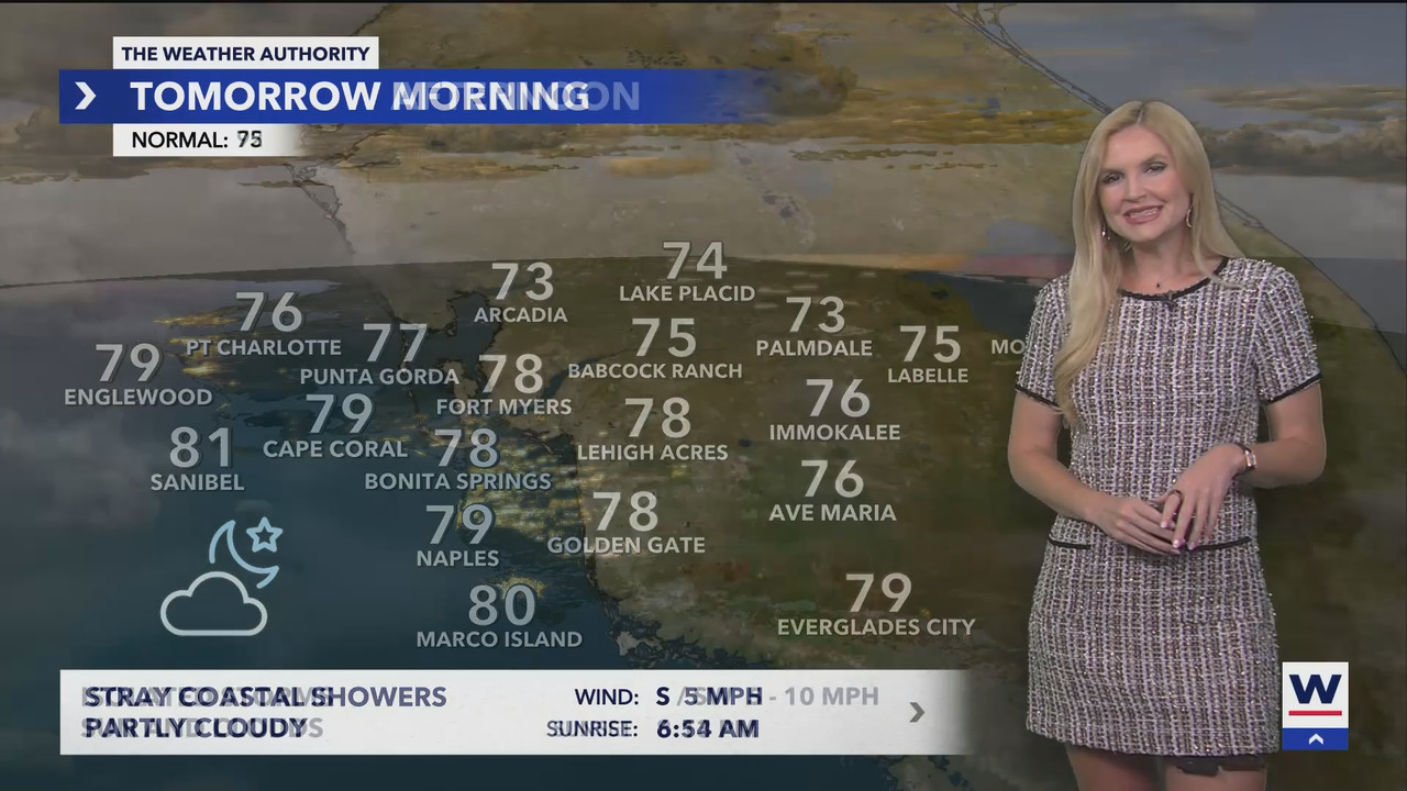 WINK News at 11_20250803_04000500.ts_snapshot_00.48.58.783