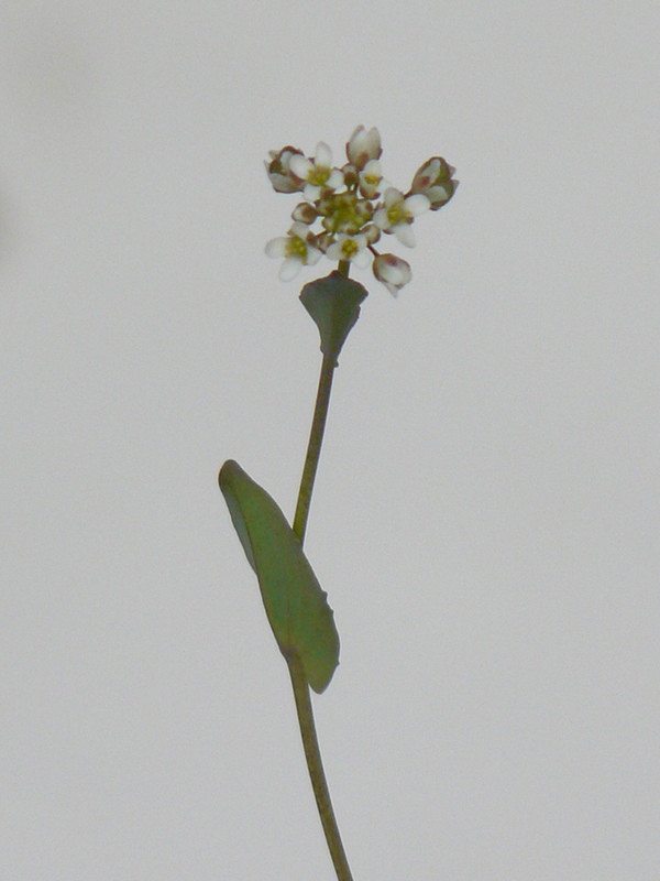 P1110937-1... (1024)