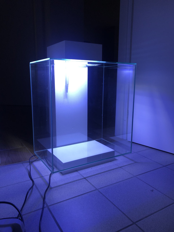 0F203A2D-0705-48B8-8C57-94D6C65BC3E7