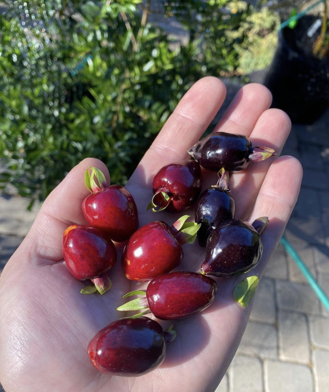 51EB0501-D1D7-45F0-8355-9DD5E532BC54