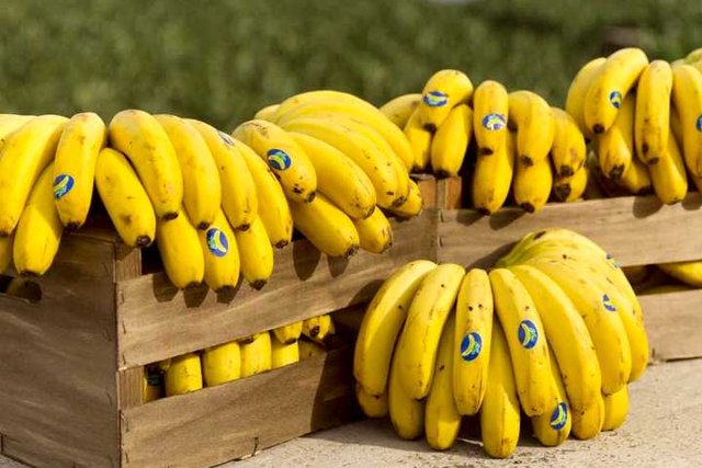 canarische-bananen.jpg