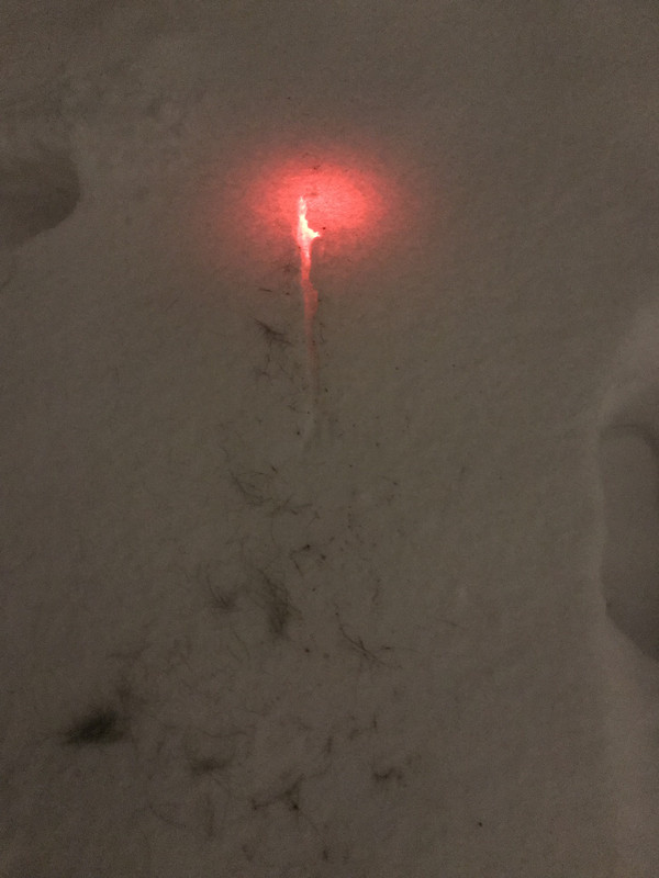 A737F7B3-ED47-4388-88A6-F656F476FC72