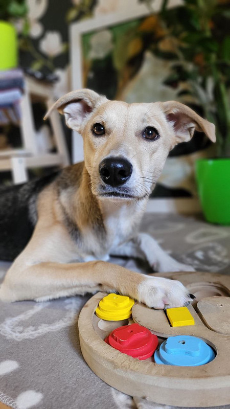 изображение_viber_2022-12-02_13-24-58-421