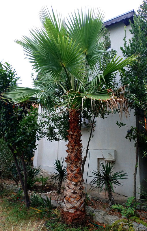 IMG_20250819_175441_edit_202232654845092(1)