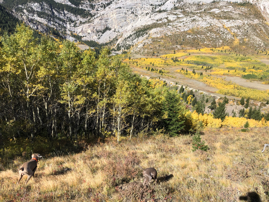 C7AFB7DF-C8CD-4F17-B846-A1297BE31002