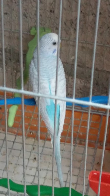 ٢?١٨?٩٢٩_١٣?٢٥٣