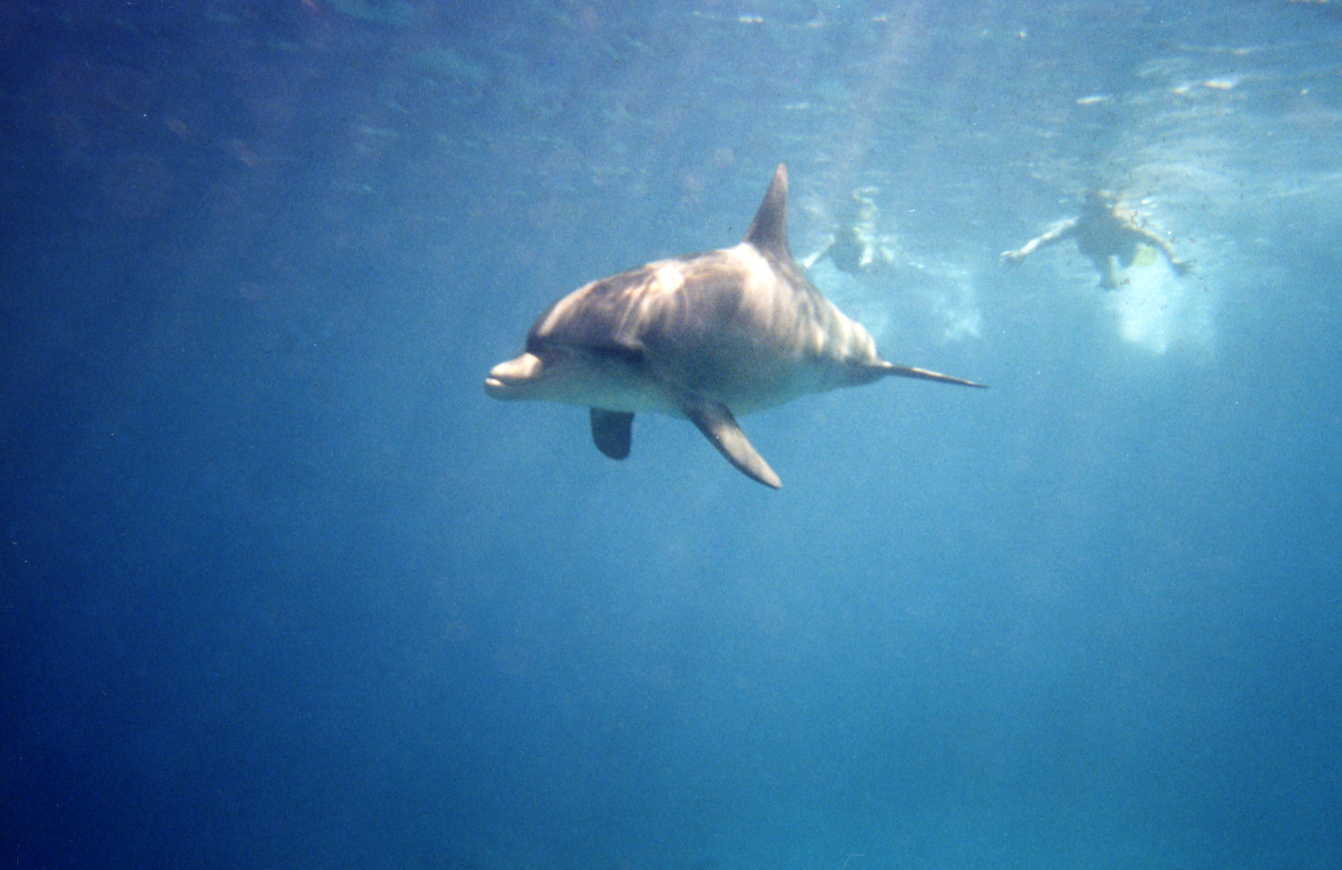 МАКСИМ ПЛАЗА ЦИФ?А (21)