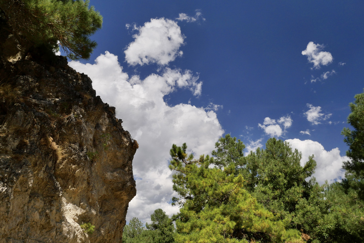 7C78F157-E2FC-4DBE-B614-582E4C14F7A8