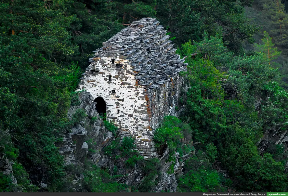 9731EDEA-1BBE-4176-BA4C-313B008C49DF