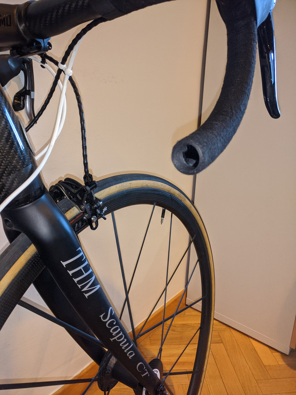 00000IMG_00000_BURST20220628092617899_COVER