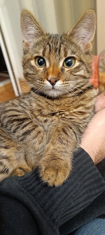 IMG_20240204_205218 буся