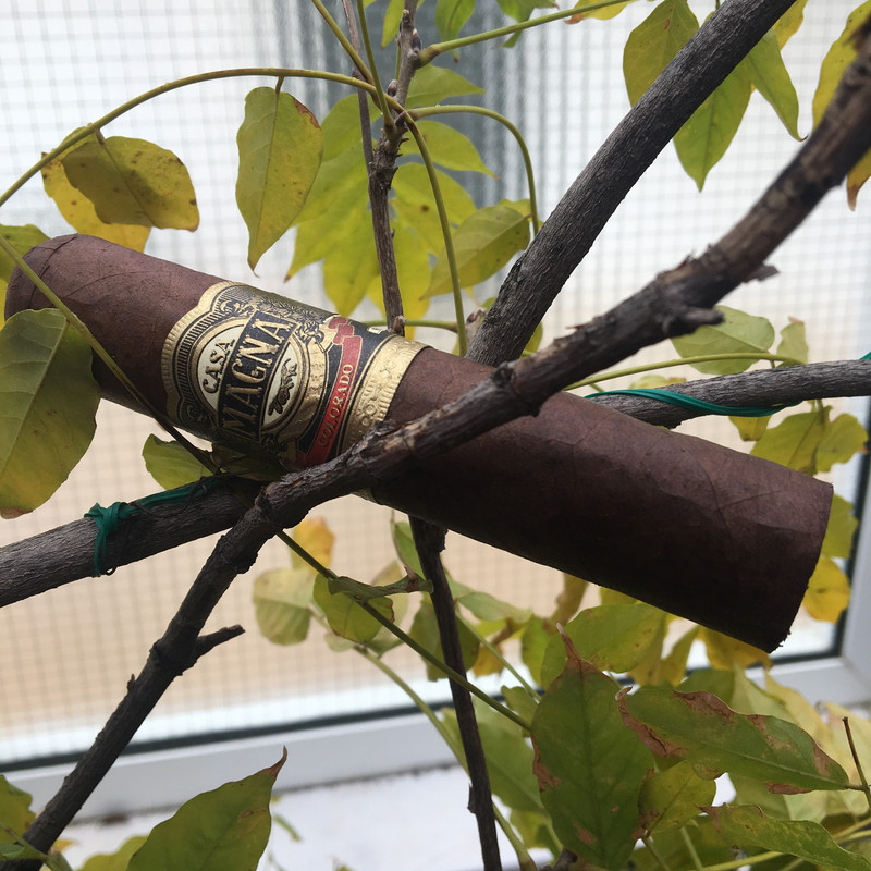 664AEA3E-DB22-4AB9-9C02-F44AB617AB63