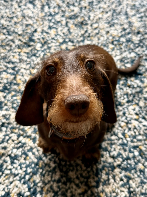 [Image: IMG-3059.jpg]