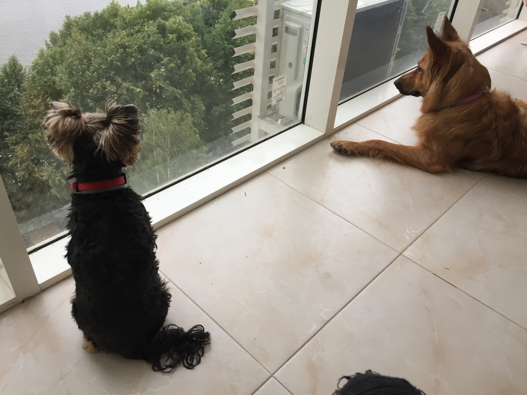 D5B5D173-F307-4A49-A206-C4E868134DE1