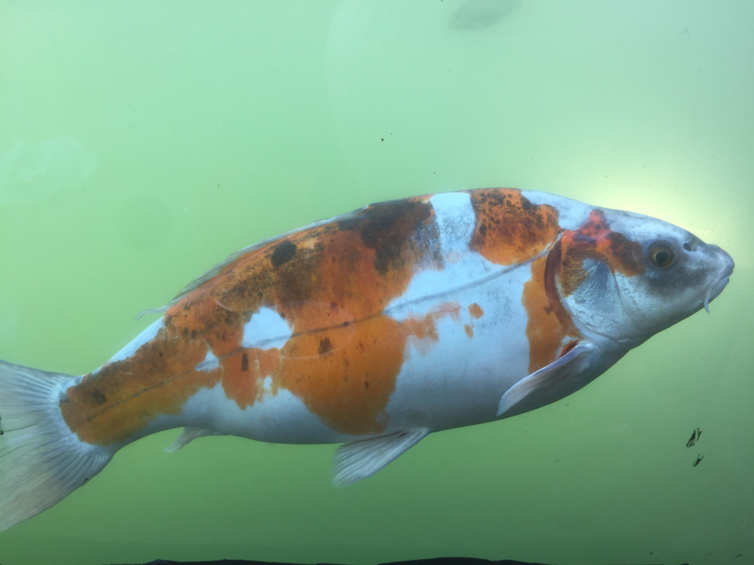 B71ABABD-61A9-4ED4-8BF2-840D12E033FE