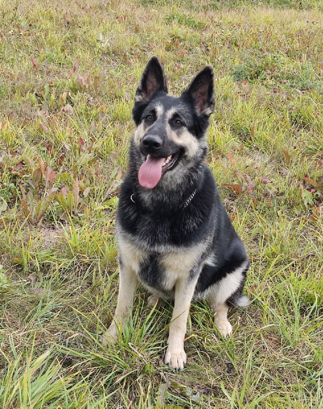 brrsC9CbcItA03SwEZ0msj7G2HMfztEiJRTkuv4vXUg_-kKx5GzUTEG7A1SaxS05gfh8Wo_2Zms4_4u4pVW-XLOx