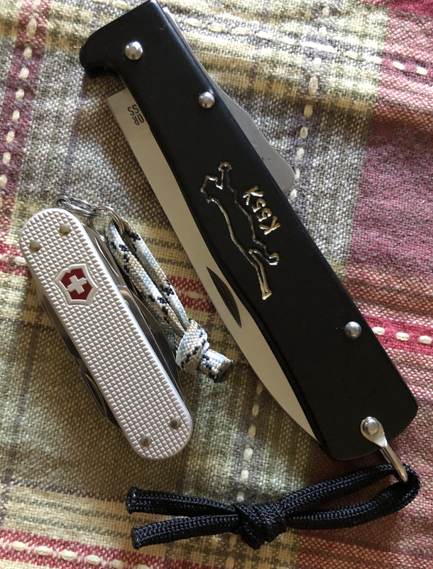 E5F4A57E-D82B-4001-B4B8-B1DCD5FDC02E