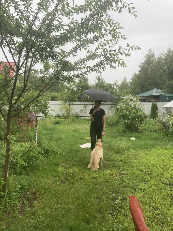 C81C246F-2DEB-4DE1-BBA4-AC9613FE8EC3