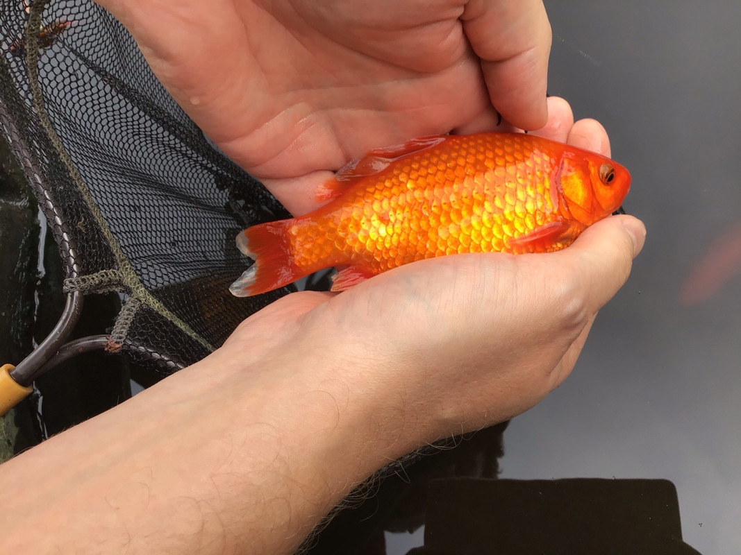 B7E71627-8AB1-4BA8-8291-C6BC56E2B742