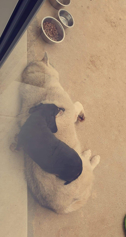 [Image: received-775507773126565.jpg]