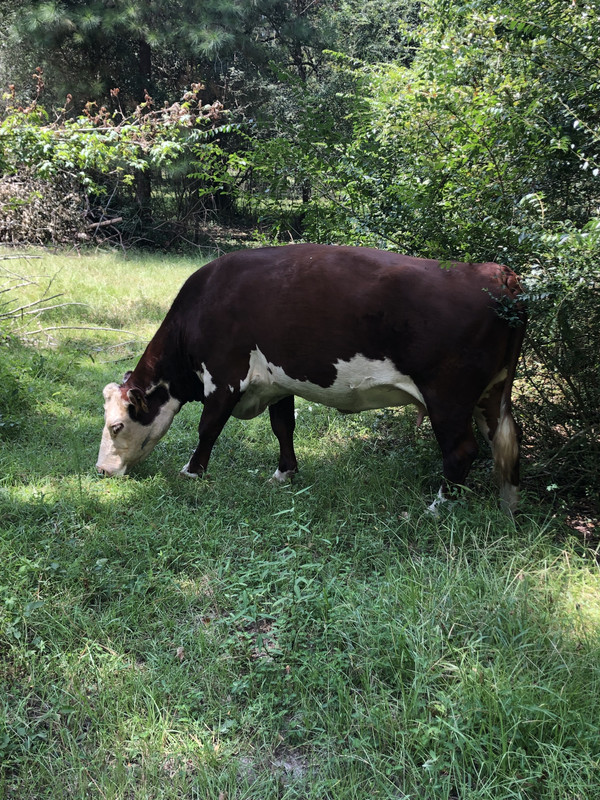 310DA2D1-5CE3-4AB4-B25D-61890B48C36C