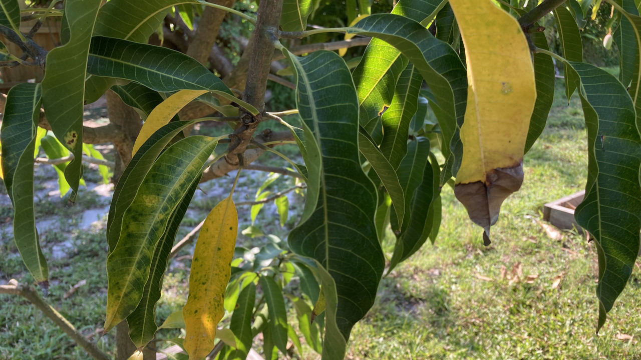 3036561D-2F8B-4941-8EBE-5B96D1588F80