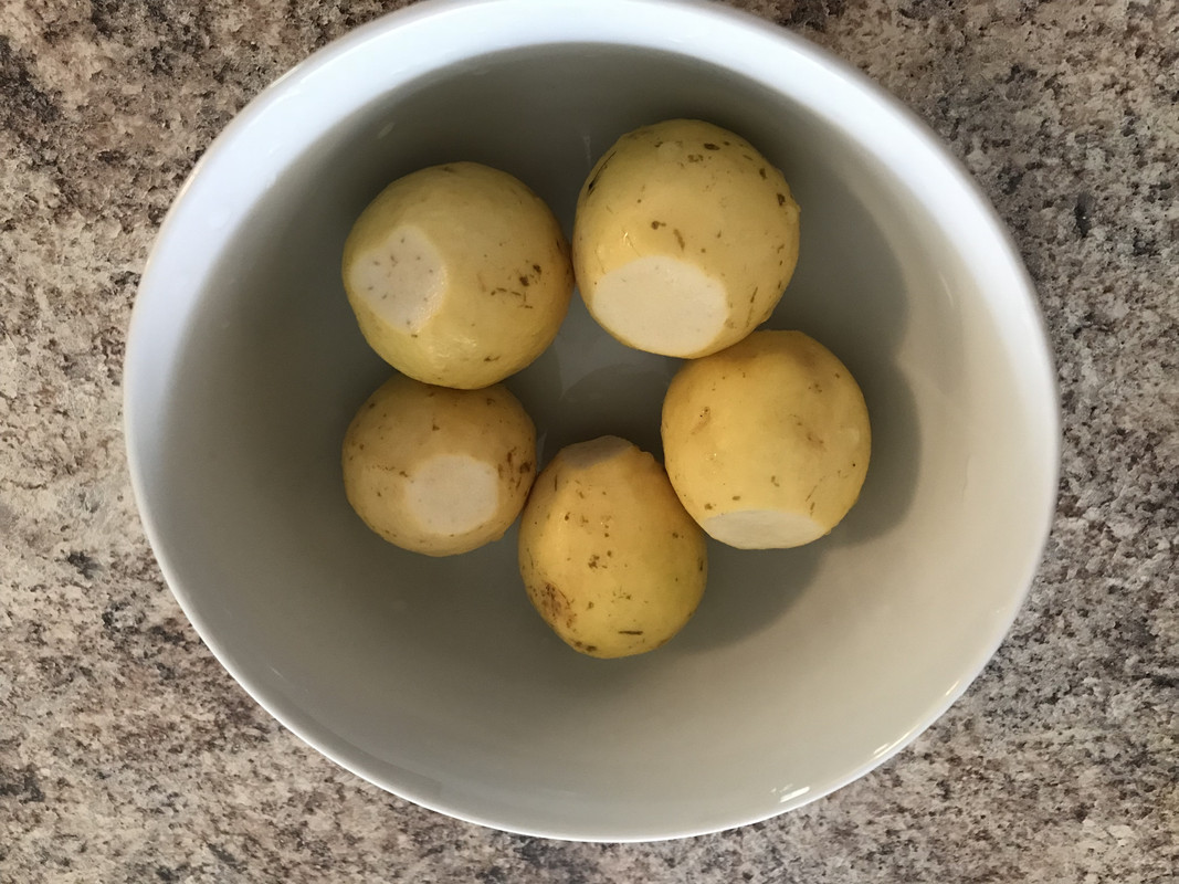 0AE25B14-9E85-4618-A4F8-E65A243ECF27