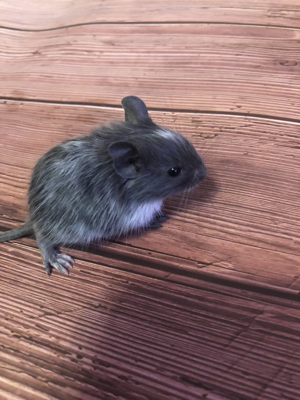 0C53DE9A-89E6-47C3-8ECC-1FB2DBEB79C9