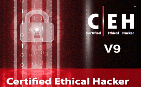 Certified Ethical Hacker (CEH) Version 9 Tool kit + PDF Slides (Part 1)