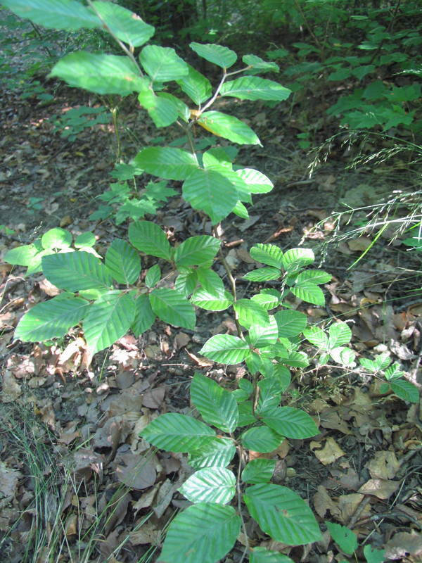 21 Июля 2024 028