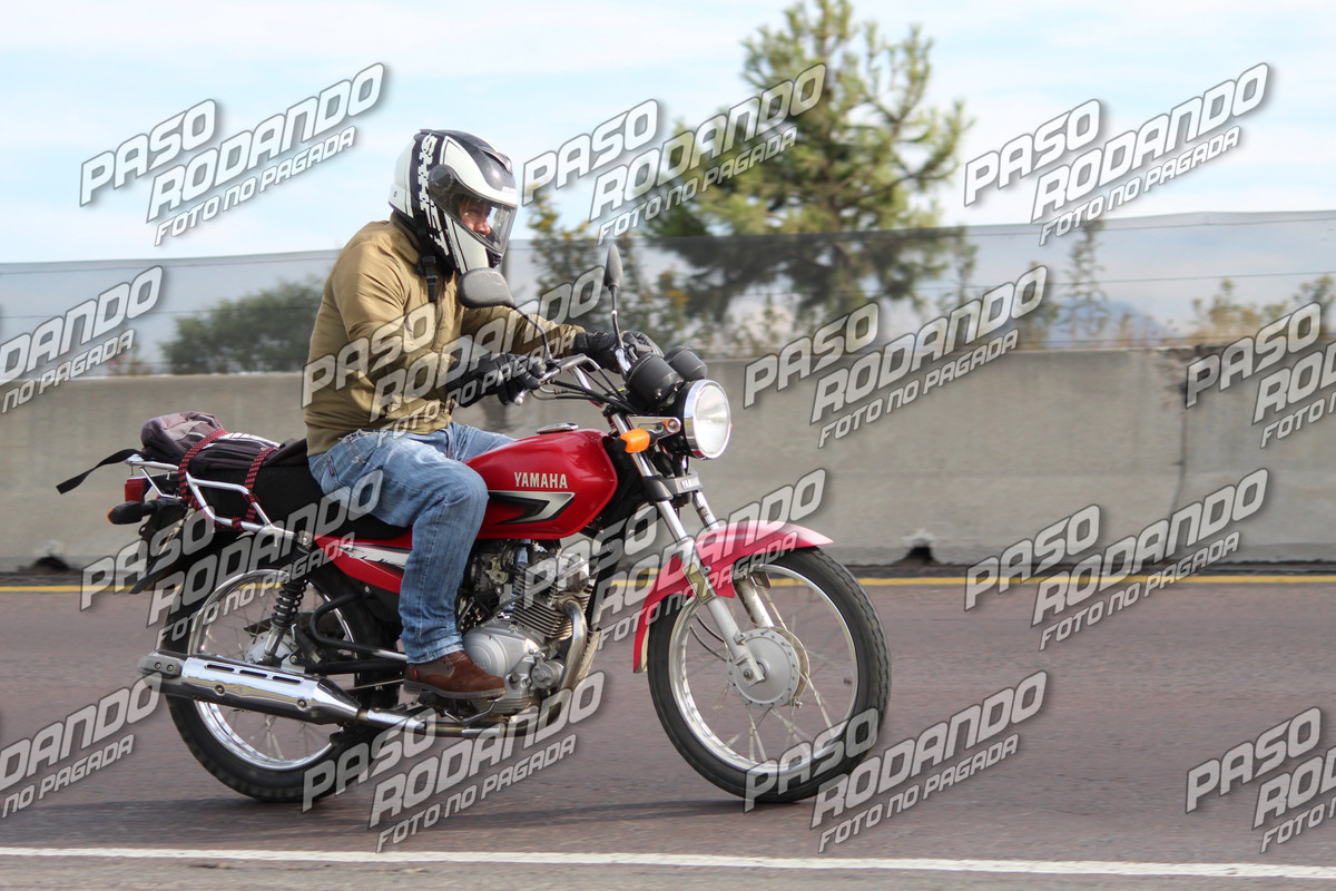 IMG 1094 wm 7664936 8 watermarked — Postimages