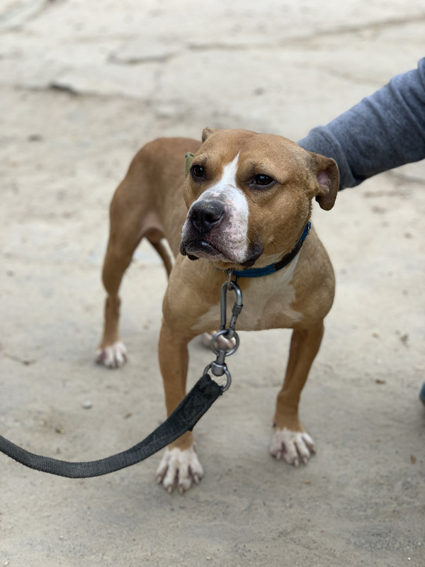 81C10548-D1D1-4BF8-B7F2-203F36C65E98