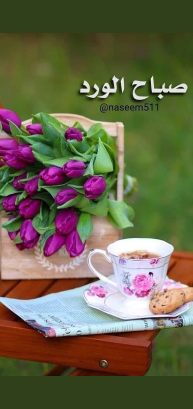 Screenshot_٢٠٢١٠٤١٥-١٣٥٩٤٤