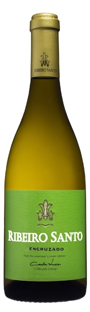 rs-encruzado-180x620-1.jpg