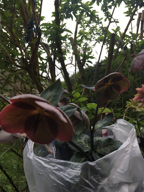 61C64B99-3566-4707-B9C9-02F743B4E447